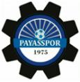 Logo Payasspor