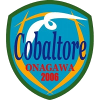 Logo Cobar Torre Onagawa