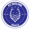 Tallinna Wolves