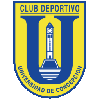 Logo Universidad de Concepcion (W)
