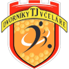 TJ Dvorniky - Vcelare