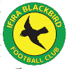 Logo Ifira Black Bird