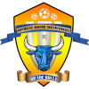 Mpheni Home Defenders