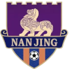 Nanjing Team
