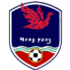 Logo Hengyang Football Team